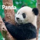 Panda, Grøn Fagklub af Hanne Korvig