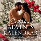 Erotiska adventskalendrar - 8 sexiga berättelser inför jul af B. J. Hermansson og Ella Lang