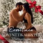 Eroottinen adventtikalenteri - 12 tarinaa jouluun