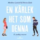 En kärlek het som denna