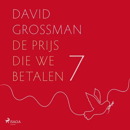 Schrijver in bezettend gebied af David Grossman