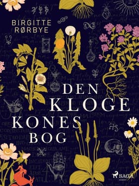 Den kloge kones bog af Birgitte Rørbye