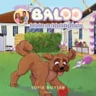 Verdens heldigste hund - balladen om fødselsdagskagen af Sofie Boysen