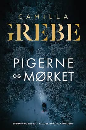 Pigerne og mørket af Camilla Grebe