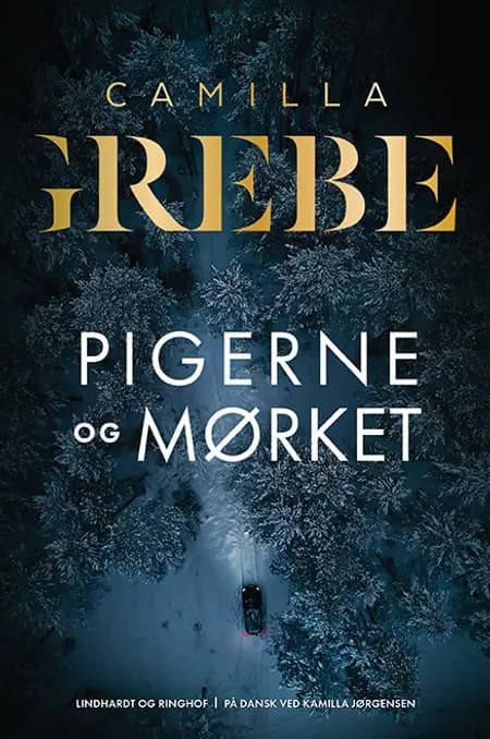 Pigerne og mørket af Camilla Grebe