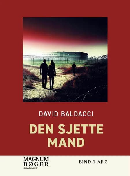 Den sjette mand af David Baldacci