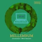 MELLEMRUM - Introduktion