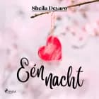 Eén nacht