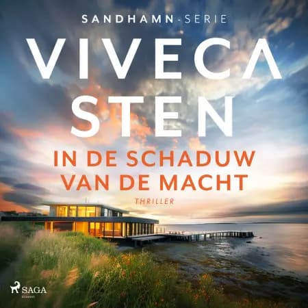 In de schaduw van de macht af Viveca Sten