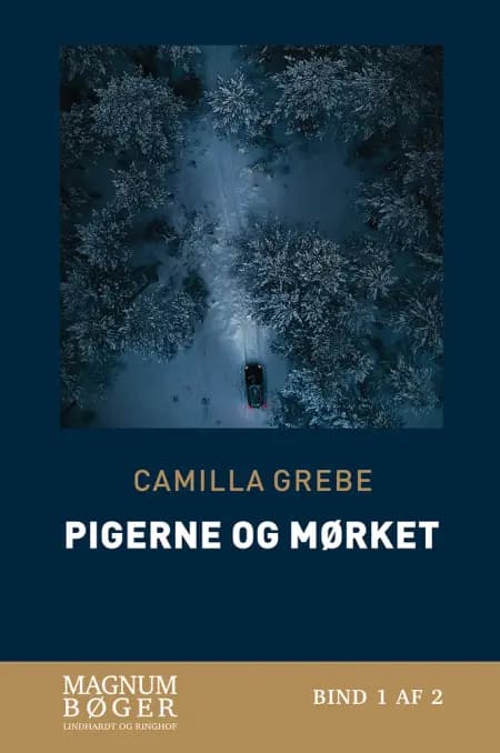 Pigerne og mørket af Camilla Grebe