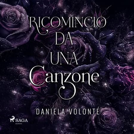 Ricomincio da una canzone af Daniela Volonté