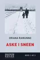 Aske i sneen (Storskrift)