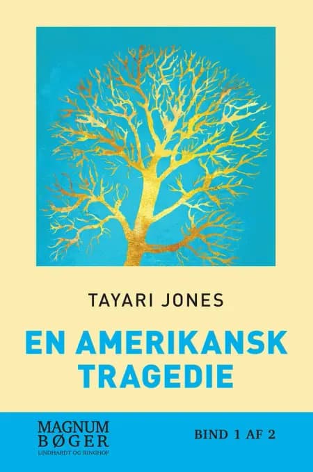 En amerikansk tragedie af Tayari Jones