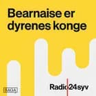 Mads Ananda Lodahl på Atlas Bar af Martin Kongstad