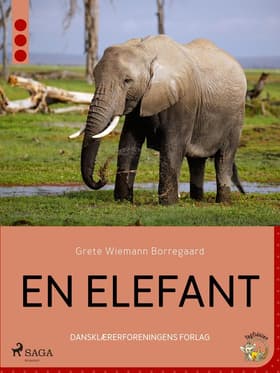 En elefant af Grete Wiemann Borregaard