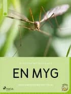 En myg