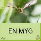 En myg