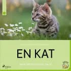 En kat