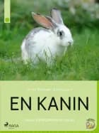 En kanin