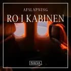 Ro i kabinen - Lyden af en flyvemaskine