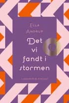 Det vi fandt i stormen af Ella Andrup