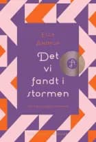 Det vi fandt i stormen