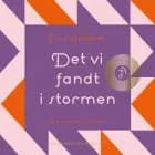 Det vi fandt i stormen