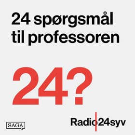 Når computeren bliver lærer - Direktør i Area9 og læge Ulrik Juul Christensen af Lone Frank