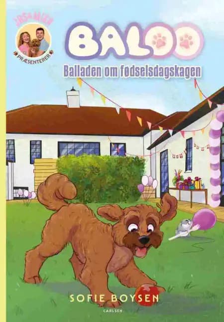 Baloo - Balladen om rockstjernen af Sofie Boysen