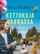 Kettukuja vaarassa
