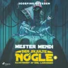 Den skjulte nøgle 2. Mester Mendi