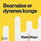 Martin Brygmann - del 2
