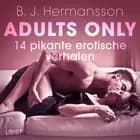 Adults only: 14 pikante erotische verhalen