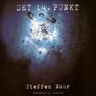 Det 14. punkt af Steffen Nohr