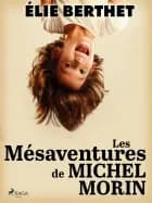 Les mésaventures de michel morin