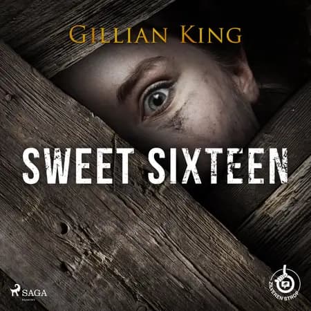 Sweet sixteen af Gillian King