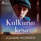 Kulkurin kesä