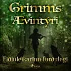 Fiðluleikarinn furðulegi