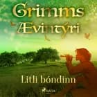 Litli bóndinn af Grimmsbræður