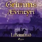 Lífsvatnið af Grimmsbræður