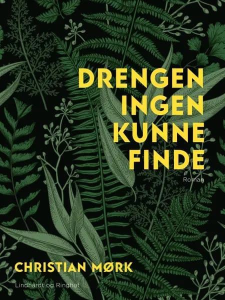 Drengen ingen kunne finde af Christian Mørk