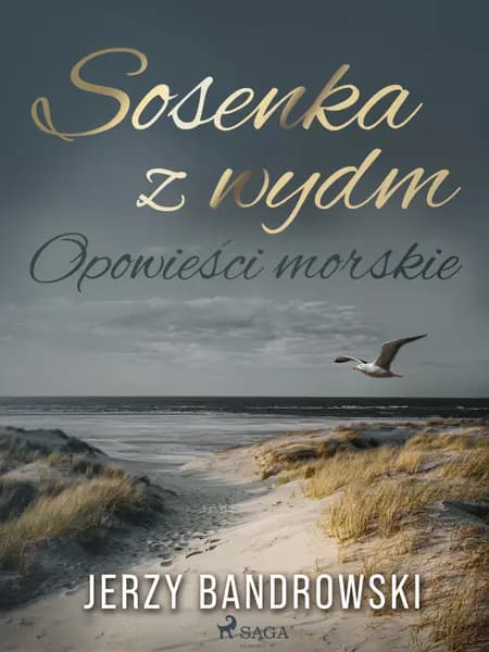 Sosenka z wydm. Opowieści morskie af Jerzy Bandrowski