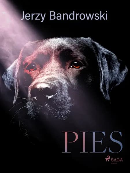 Pies af Jerzy Bandrowski