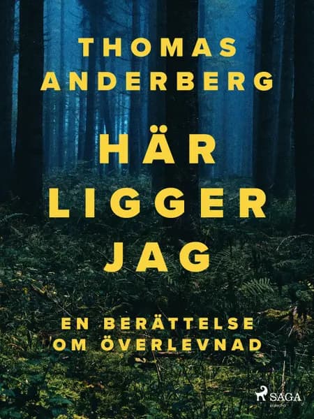 Här ligger jag af Thomas Anderberg