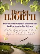Staden : en dokumentärroman om livet i och omkring Sigtuna