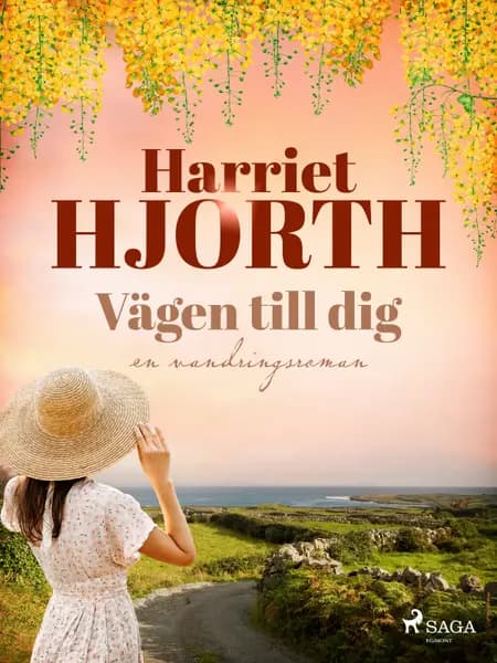 Vägen till dig af Harriet Hjorth