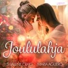 Joululahja – eroottinen novelli