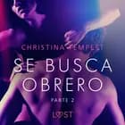 Se busca obrero - parte 2