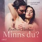 Minns du? - erotisk novell