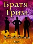 Тримата щастливци af Братя Грим
